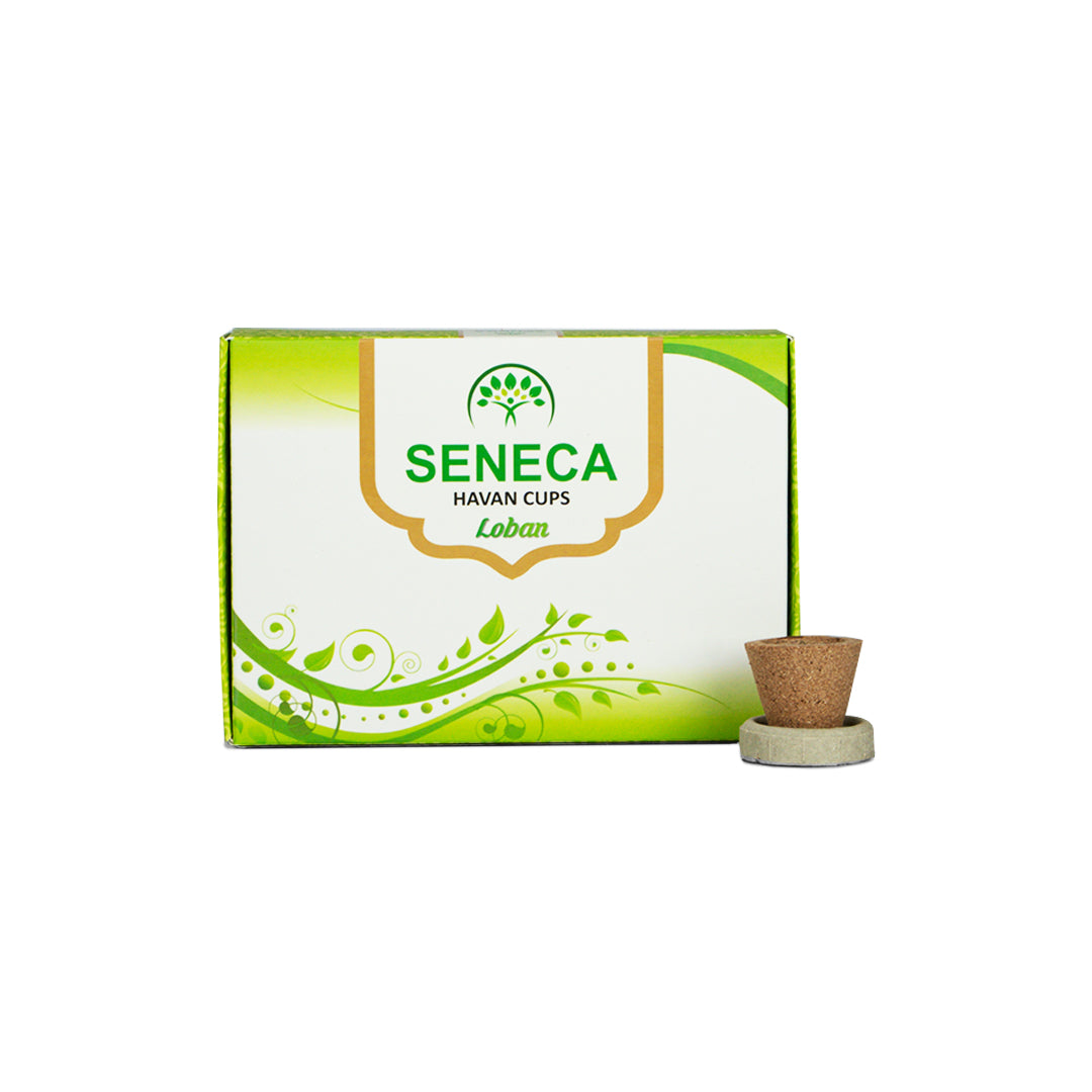 Havan Cup (Pack of 2)
