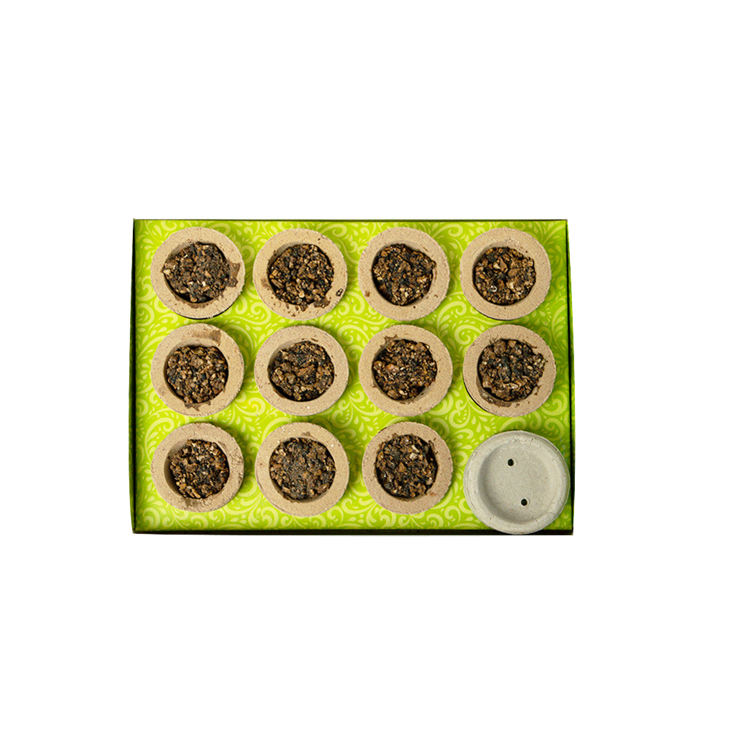 Havan Cup (Pack of 2)