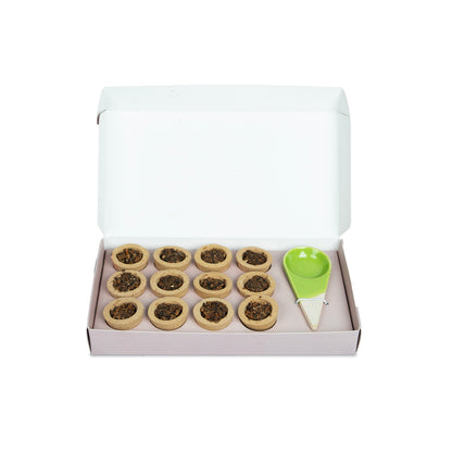 Havan Cup (Pack of 2)